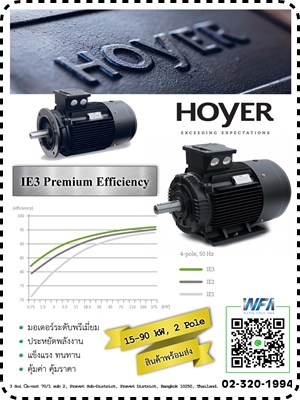  HOYER Motor
